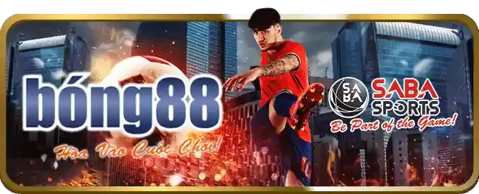 Trải nghiệm mượt mà 3WIB